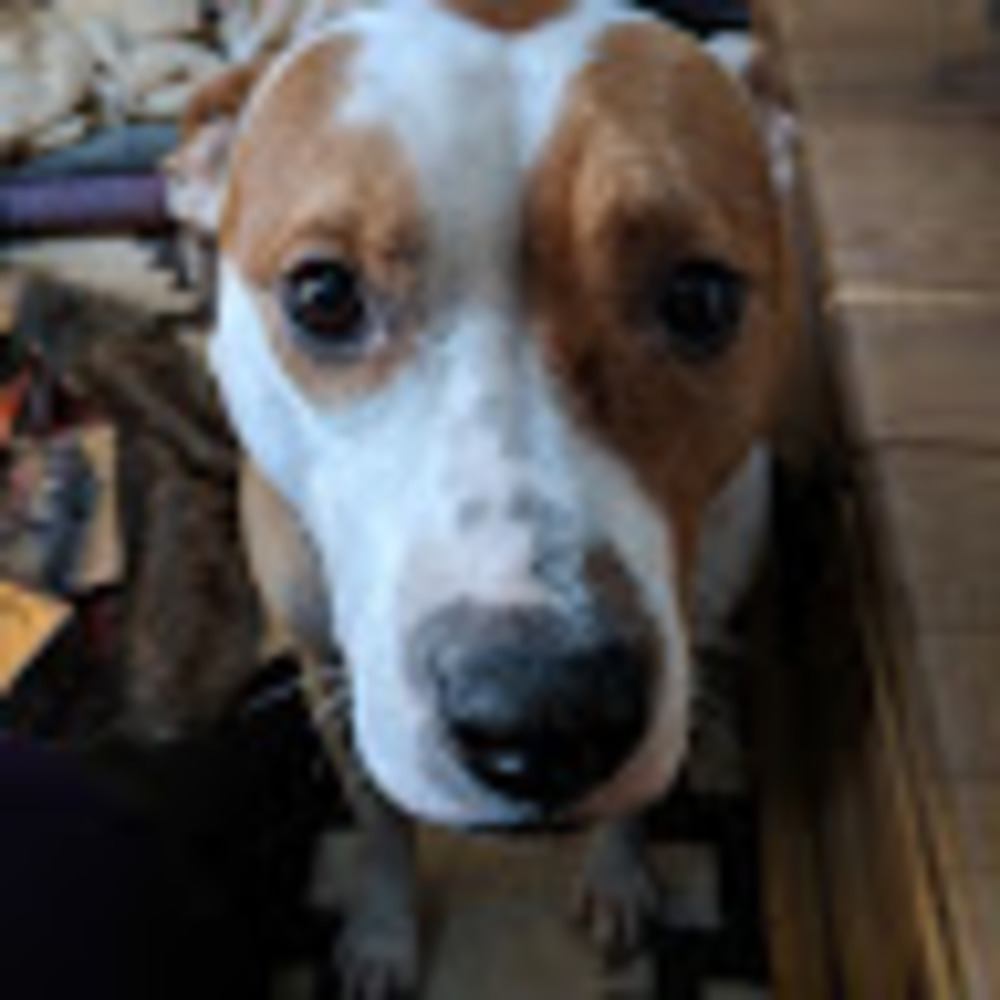 Meet your Posher, Jeana